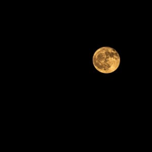 The Strawberry Moon captured on 6/11/2025