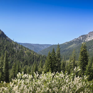 Panoramic photo of the Sierra Buttes mountains.