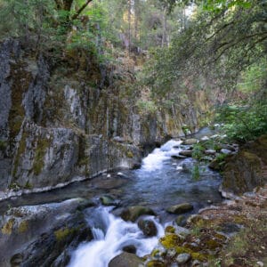 A flowing Jim Crow creek in Downieville, California.