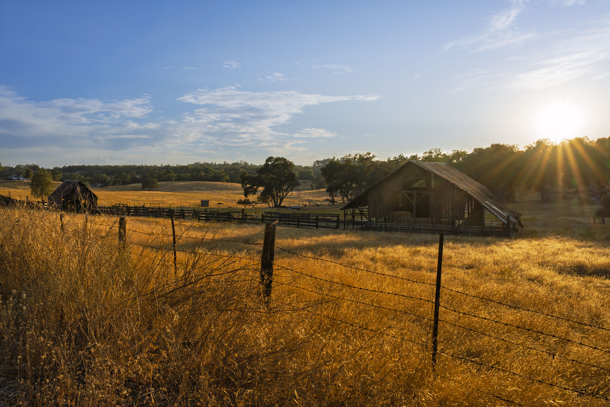 A Barn at Sunset on Highway 49