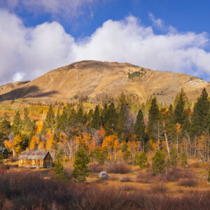 A cabin with fall colors on the trees around it